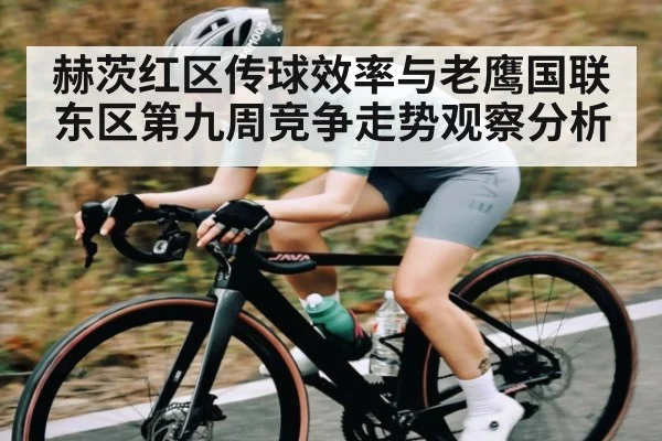 赫茨红区传球效率与老鹰国联东区第九周竞争走势观察分析